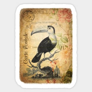 The Toucan - Vintage French Postcard Sticker